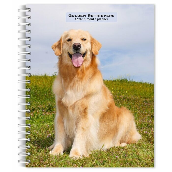 Agenda Papier 2026 Spirale Chien Race Golden Retriever