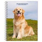 Agenda Papier 2026 Spirale Chien Race Golden Retriever