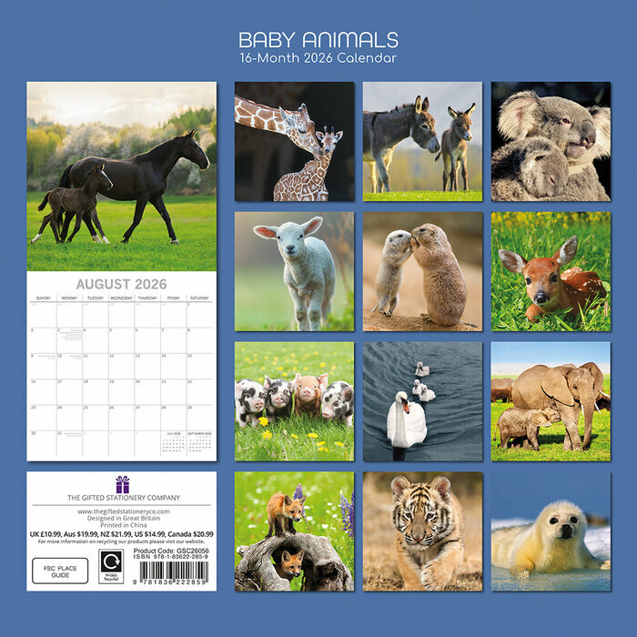 Calendrier Mural 2026 Bébés Animaux Ours Phoque
