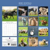 Calendrier Mural 2026 Bébés Animaux Ours Phoque