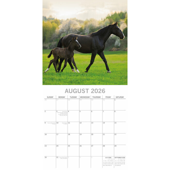 Calendrier Mural 2026 Bébés Animaux Ane
