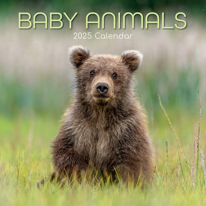 Calendrier Mural 2025 Bébés Animaux Ours Ane