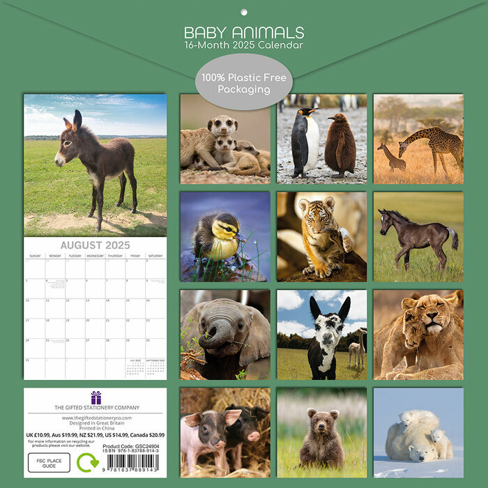 Calendrier Ourson 2025 Bébés Animaux Ours Ane