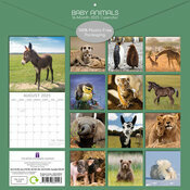 Calendrier Ourson 2025 Bébés Animaux Ours Ane