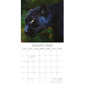 Calendrier Mural 2026 Grands Félins  Tigre