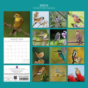 Calendrier 2026 Oiseaux Communs Jardins