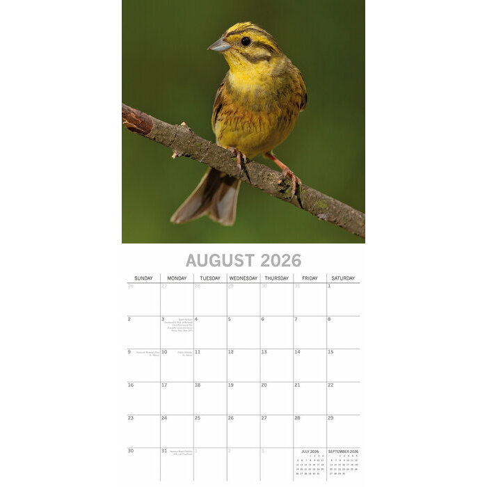 Calendrier Mural 2026 Oiseaux  Jardins