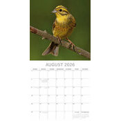 Calendrier Mural 2026 Oiseaux  Jardins