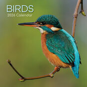 Calendrier Mural 2026 Oiseaux Communs Jardins