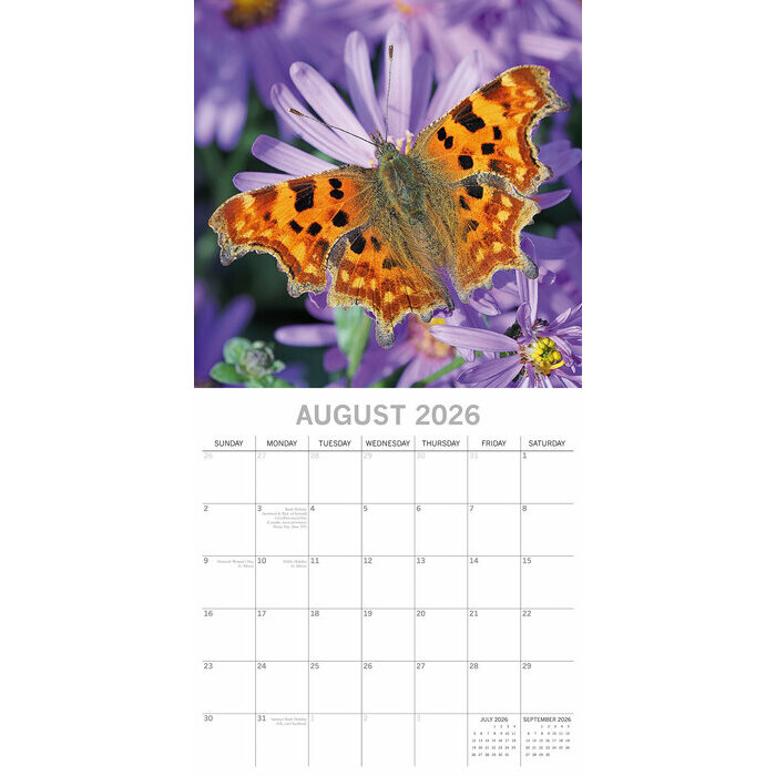 Calendrier papier 2026 Papillons du Jardin