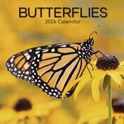 Calendrier Mural 2026 Papillons du Jardin