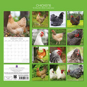 Calendrier Papier 2026 Poules de nos Jardins