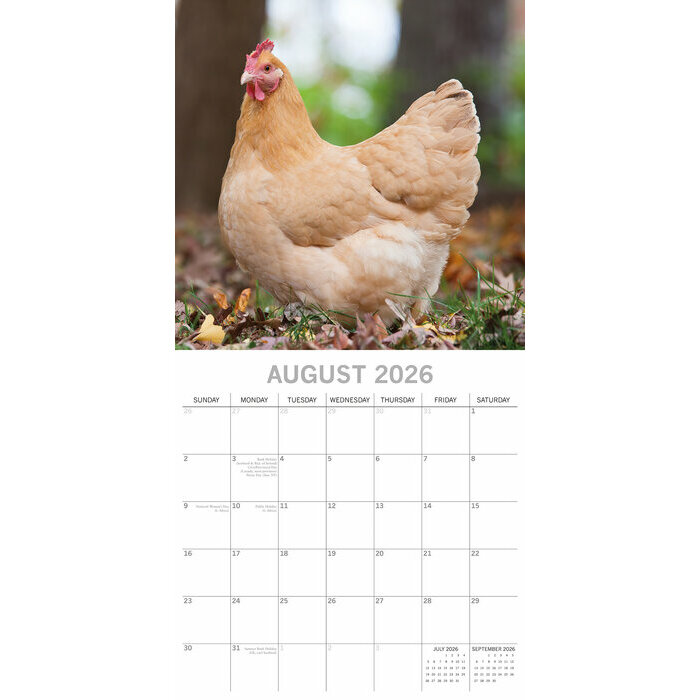 Calendrier Mural 2026 Poules 