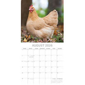 Calendrier Mural 2026 Poules 
