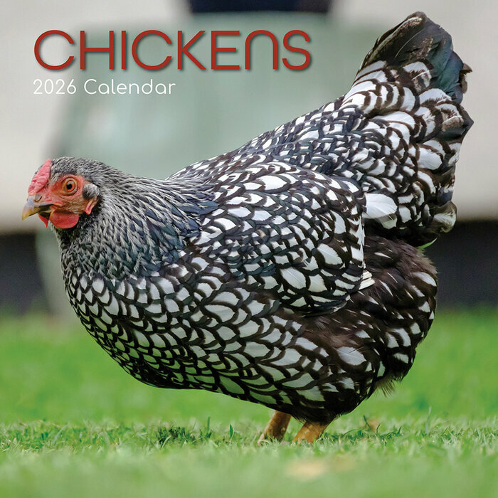Calendrier Mural 2026 Poules de nos Jardins