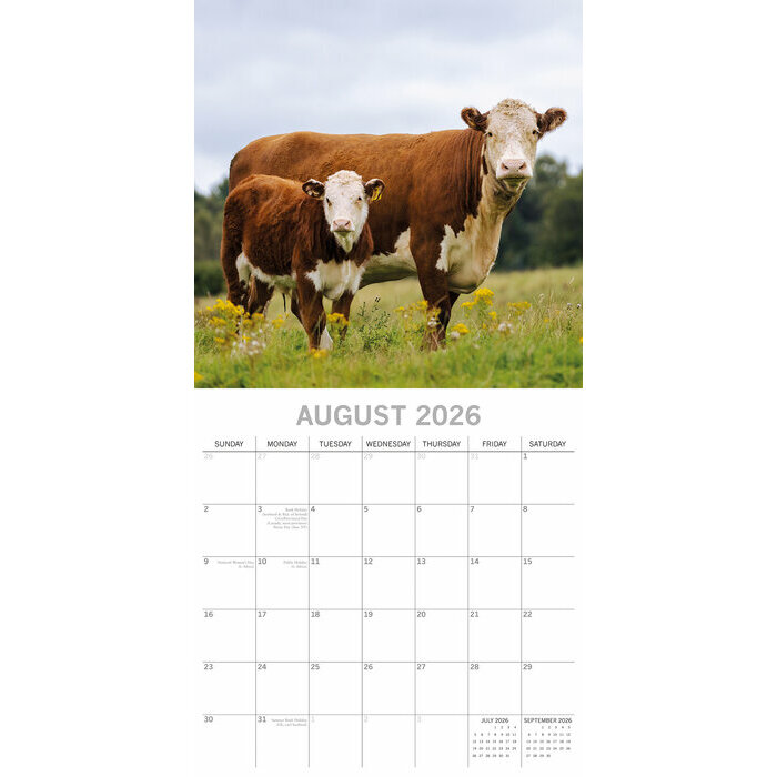 Calendrier 2026 Ferme et Vaches