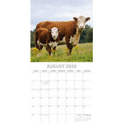 Calendrier 2026 Ferme et Vaches
