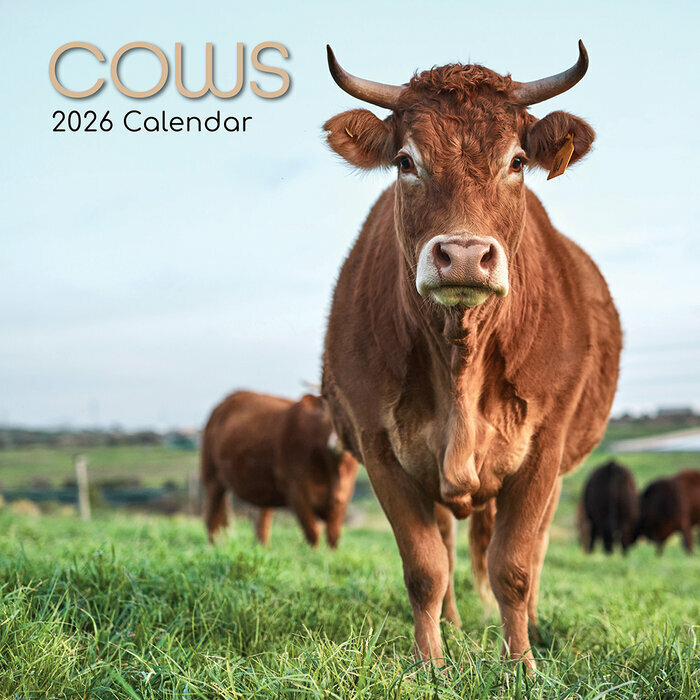 Calendrier Mural 2026 Ferme et Vaches