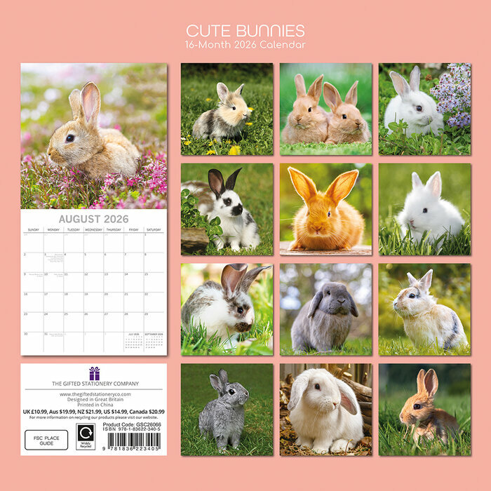 Calendrier 2026 Lapins Mignons et Campagne