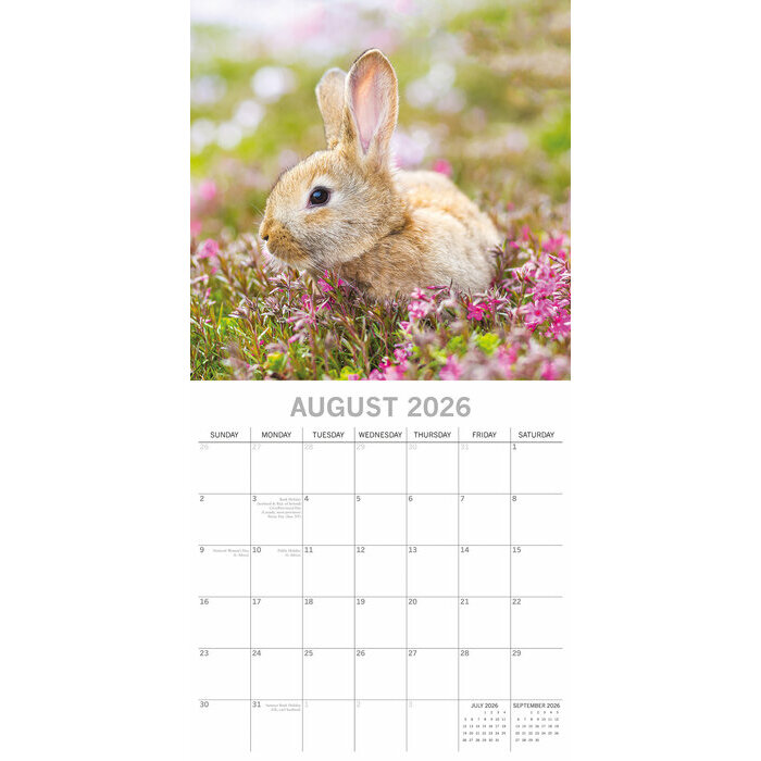 Calendrier papier 2026 Lapins Mignons et Campagne