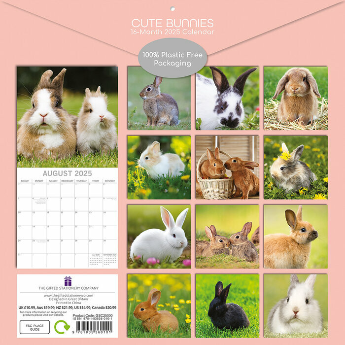 Calendrier Papier 2025 Lapins Mignons et Campagne