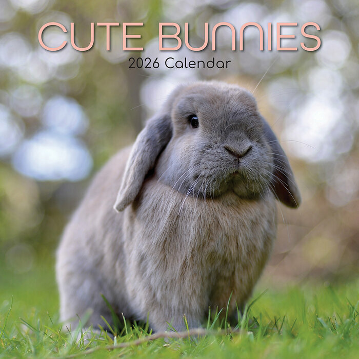 Calendrier Mural 2026 Lapins Mignons et Campagne