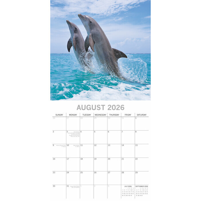 Calendrier Papier 2026 Animaux Dauphins 