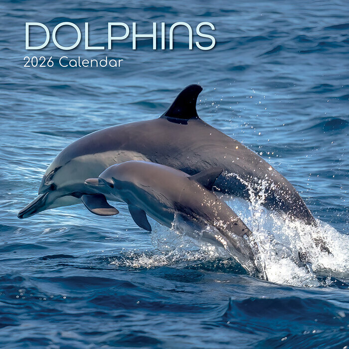Calendrier Mural 2026 Animaux Dauphins 