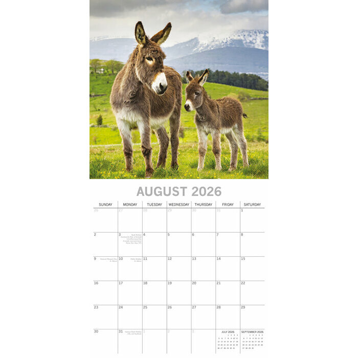 Calendrier Papier 2026 ne et Baudet