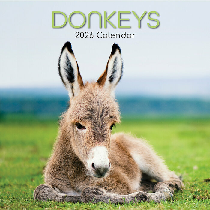 Calendrier Mural 2026 ne et Baudet
