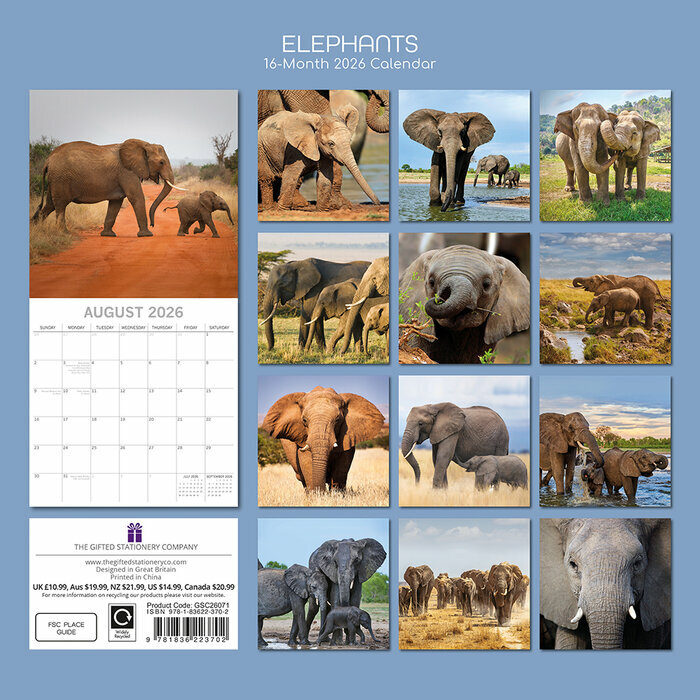 Calendrier 2026 Elphants Asie et Afrique