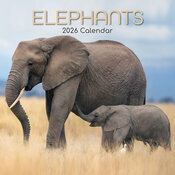 Calendrier Mural 2026 Elphants Asie et Afrique