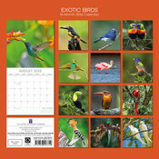 Calendrier 2026 Oiseaux Exotiques