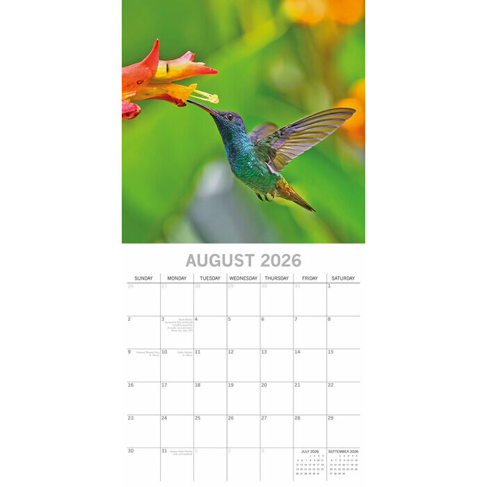 Calendrier Papier 2026 Oiseaux Exotiques