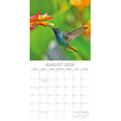 Calendrier Papier 2026 Oiseaux Exotiques