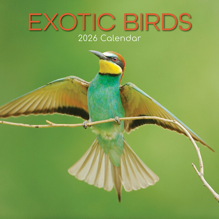 Calendrier Mural 2026 Oiseaux Exotiques