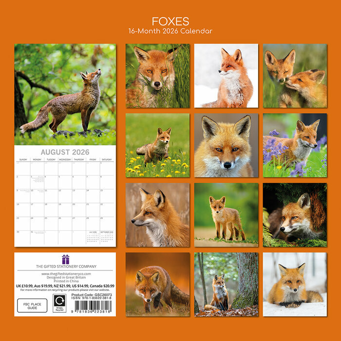 Calendrier 2026 Renards Malicieux