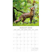Calendrier Mural 2026 Renards 
