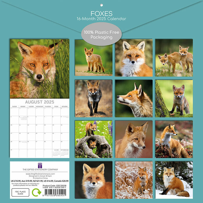Calendrier papier 2025 Renards Malicieux