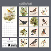 Calendrier 2026 Dessins Oiseaux du Jardins Calendrier Mural papier 2026 Dessins Oiseaux du Jardin