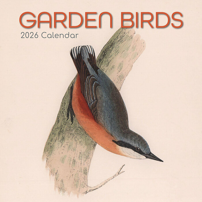 Calendrier Mural 2026 Dessins Oiseaux du Jardin