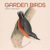 Calendrier Mural 2026 Dessins Oiseaux du Jardin
