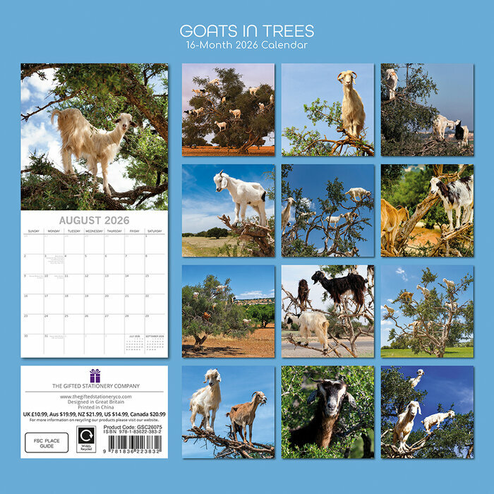 Calendrier 2026 Chvres dans les arbres
