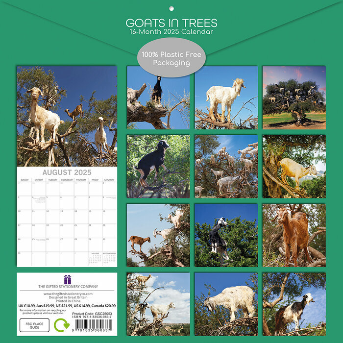 Calendrier Papier 2025 Chvres dans les arbres