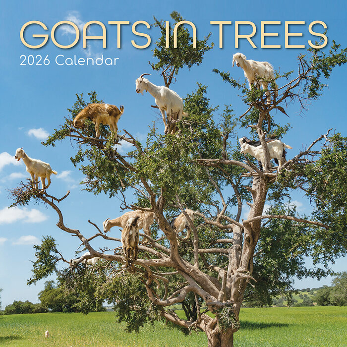 Calendrier Mural 2026 Chvres dans les arbres