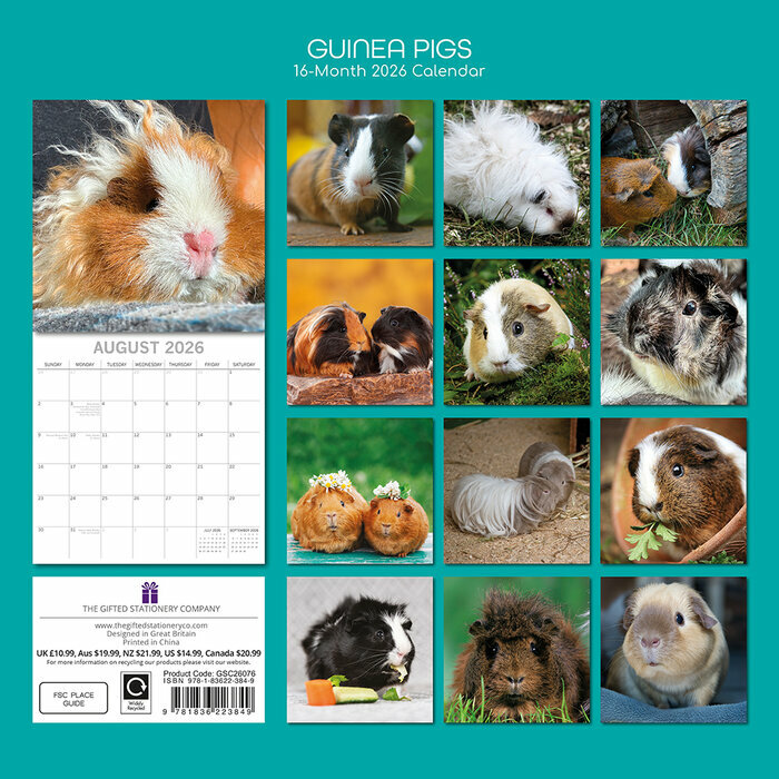 Calendrier Mural 2026 Nacs Cochon d'Inde
