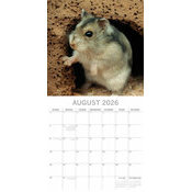 Calendrier Mural 2026  Hamster