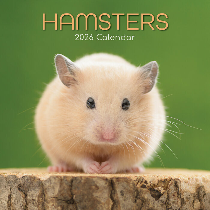 Calendrier Mural 2026 Nacs Hamster