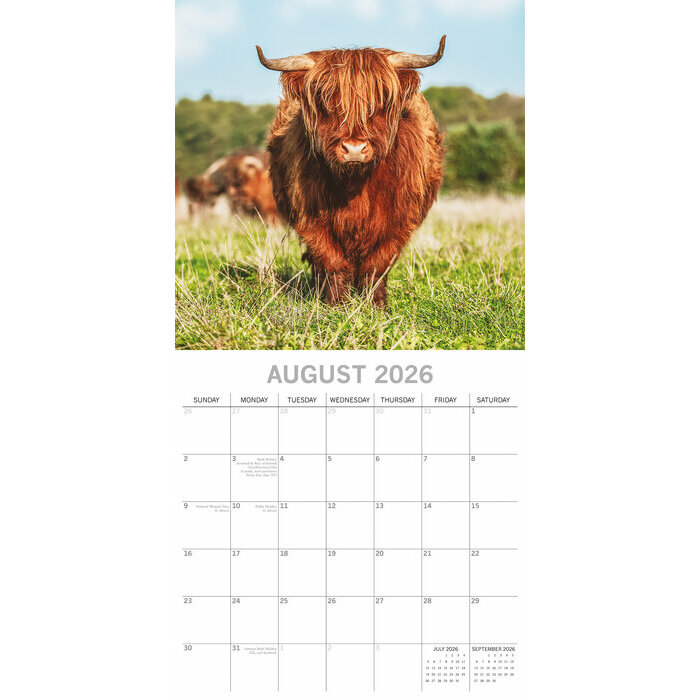 Calendrier 2026 Vaches des Highlands