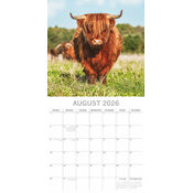 Calendrier 2026 Vaches des Highlands